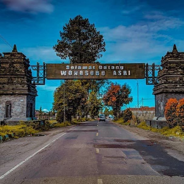 Wonosobo